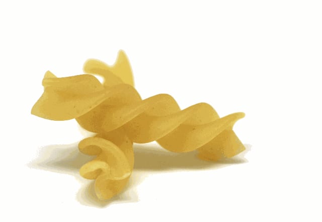 Fusilli.