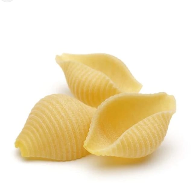 Shells 1Lbs.