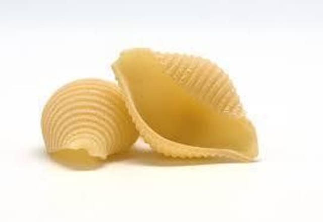 Shells.